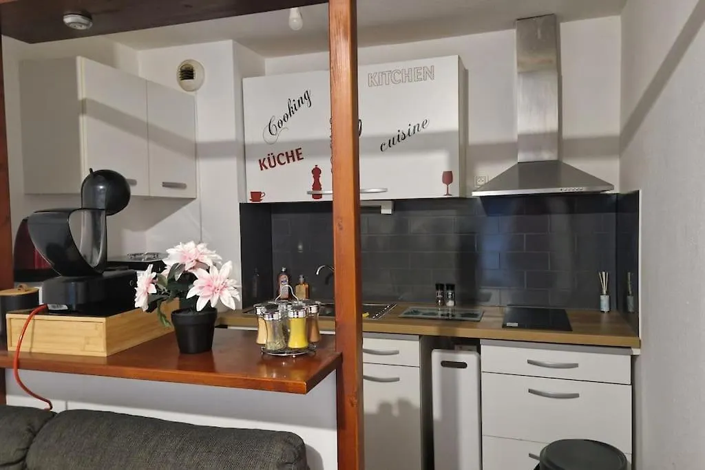 Joli T2 Vue Sur Le Jardin Proche De Toulouse Διαμέρισμα Launaguet