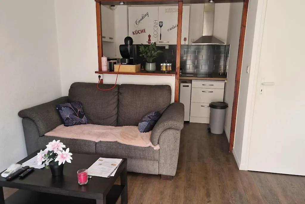 Joli T2 Vue Sur Le Jardin Proche De Toulouse Διαμέρισμα Launaguet